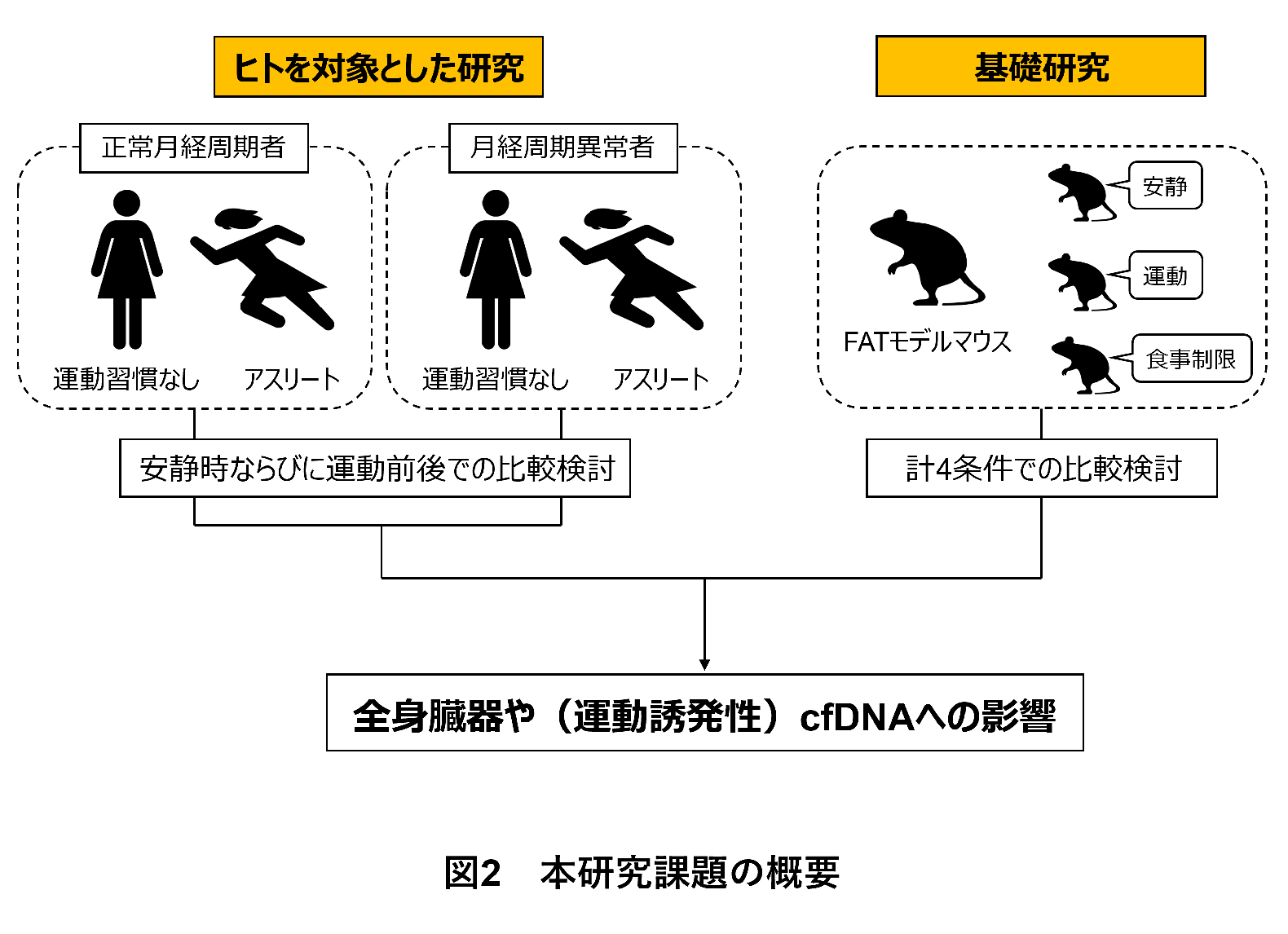 マフェトン、アプライドキネシオロジーと新時代のトレーニング法