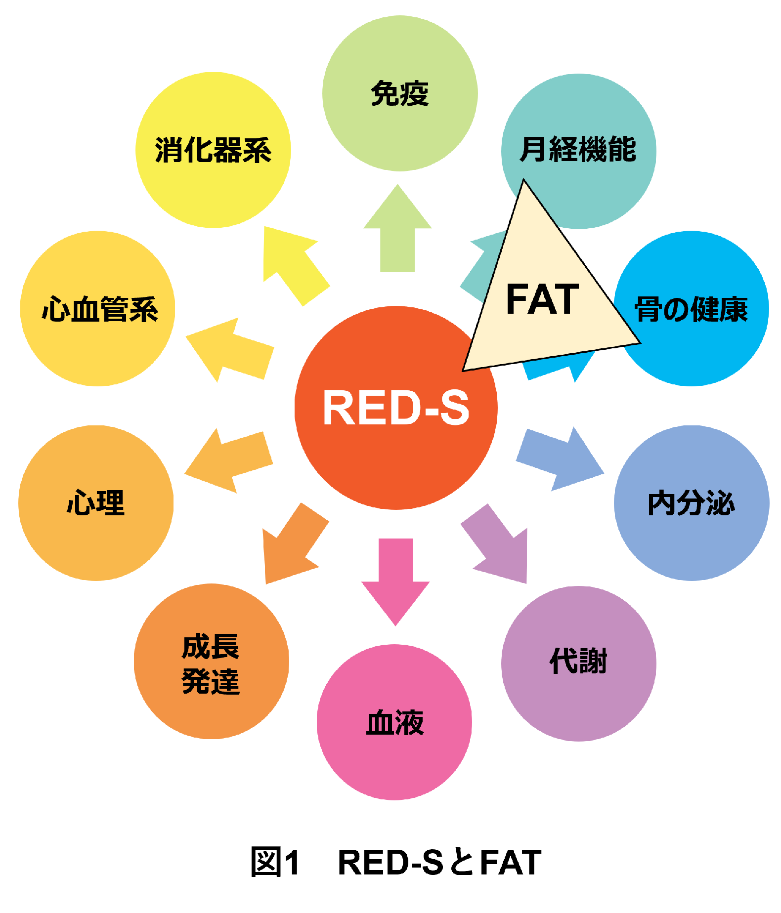 研究内容のご紹介｜筑波大学 医学医療系 臨床検査医学/スポーツ医学 